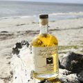 huile-d'olive-corse- a-merula- plage-d'Aléria