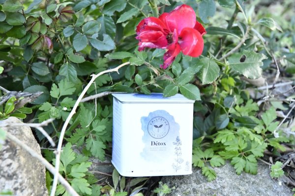 the corse detox callysthe the-corse-detox-callysthe