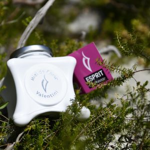 Miel corse maquis du printemps