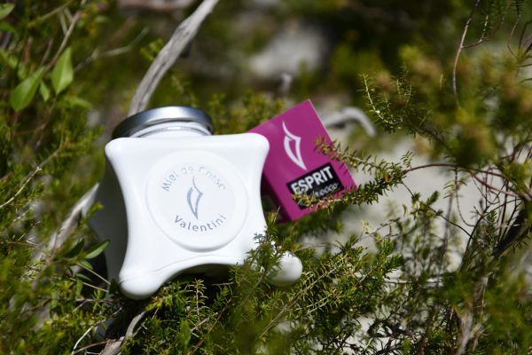 miel-corse-maquis-du-printemps Miel corse maquis du printemps