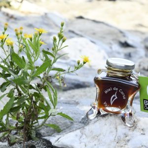 Miel-corse-miellat-du-maquis