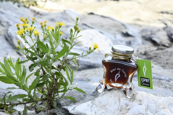 Miel corse miellat du maquis Miel-corse-miellat-du-maquis