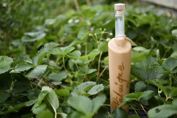 creme de chataigne corse creme-de-chataigne-corse