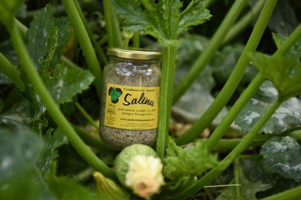 condiment u salinu salinu