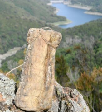 Lonzu corse de Felix Costantini