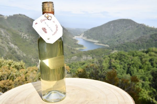 liqueur de chataigne