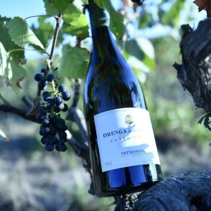 Orenga-de-gaffory-blanc