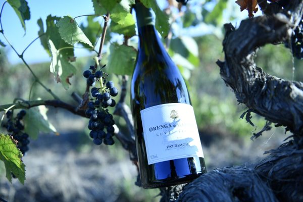 orenga de gaffory blanc Orenga-de-gaffory-blanc