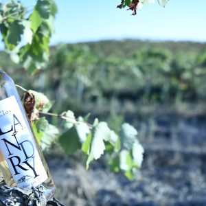 Clos Landry Rosé gris