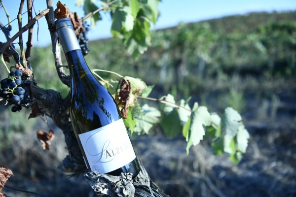 Vin blanc Alzeto prestige Vin blanc Alzeto prestige
