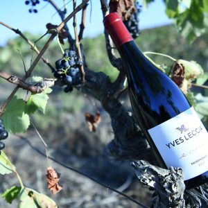 Vin-corse-E-croce-rouge