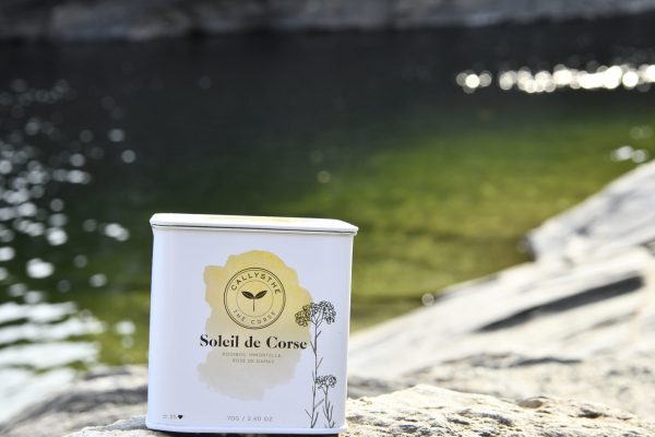 _DSC1503 - Copie _DSC1503 - Copie