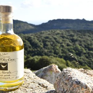 Cuvée spéciale a merula 25cl Cuvée-spéciale-a-merula-25-cl