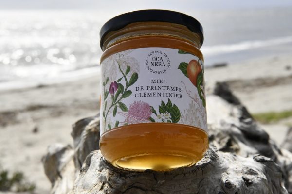 miel de printemps clémentinier corse miel-de-printemps-clémentinier-corse
