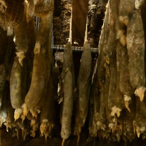 saucisson-de porc-noir-corse-dans-la-cave-de Félix Costantini.