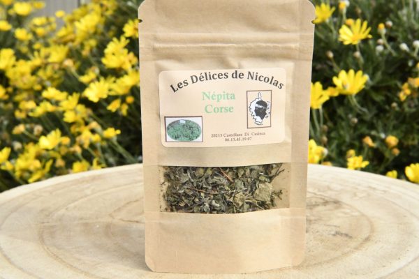 nepita corse nepita-corse