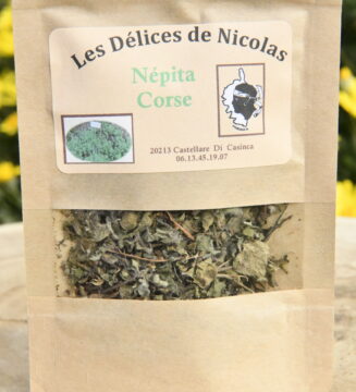 plante-nepita -corse-dans-le-jardin-de-Tiramiland
