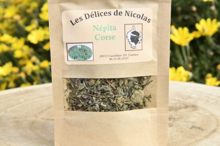 La plante nepita corse: très aromatique!