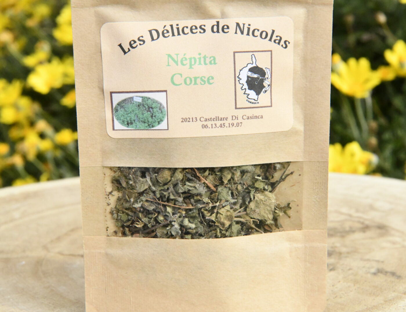 La plante nepita corse: très aromatique!