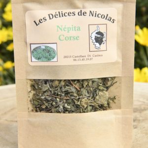 plante-nepita -corse-dans-le-jardin-de-Tiramiland