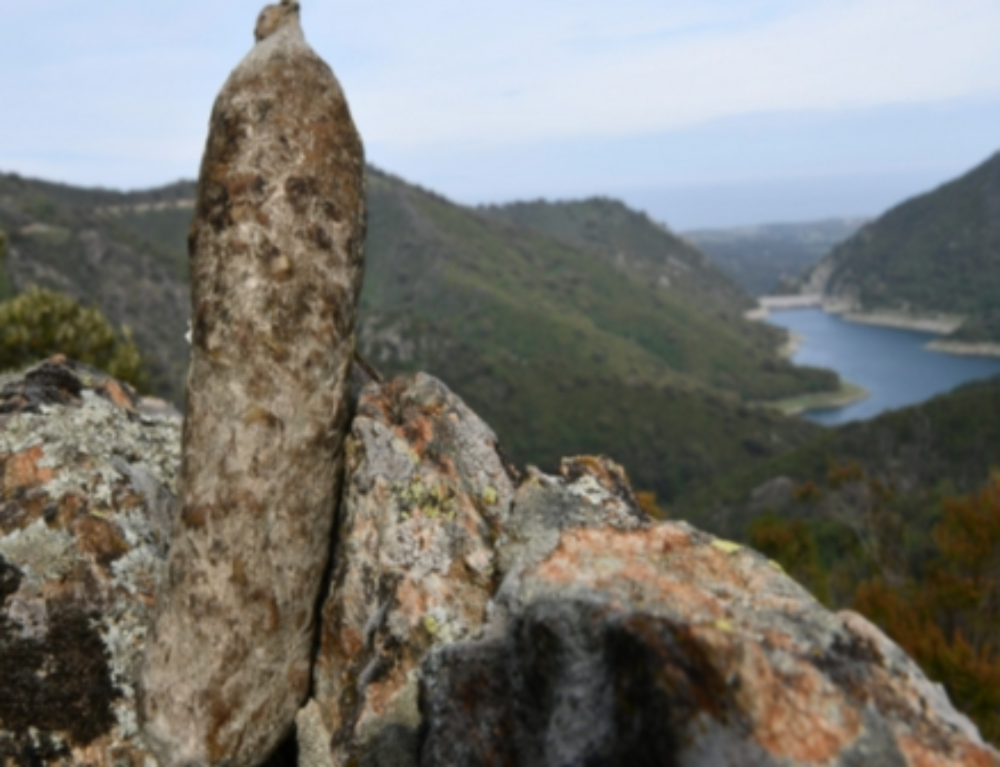 Saucisson corse : n°1 des ventes en saison estivale