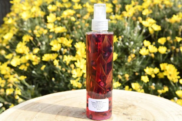 _DSC3570 Un spray de 200ml de vinaigre associé a des brins de myrte corse