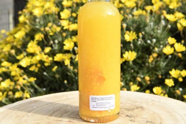 _DSC3556 Bouteille-de-vinaigre-à-la-clémentine-corse