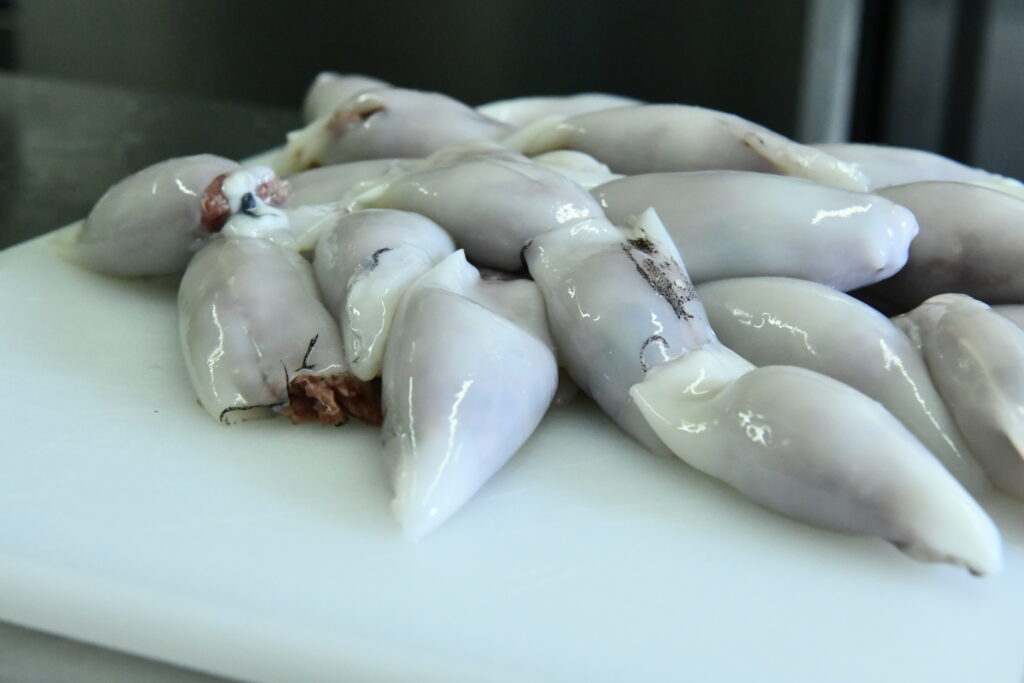 Calamars farcis aux figatelli avant cuisson