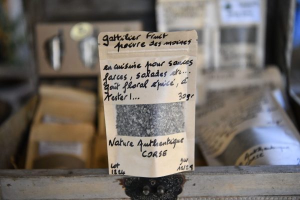 le gattilier le-gattilier