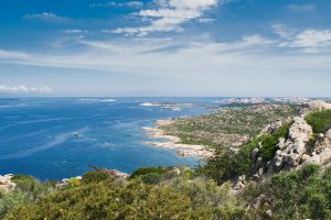 herbes-du-maquis- et paysage-corse