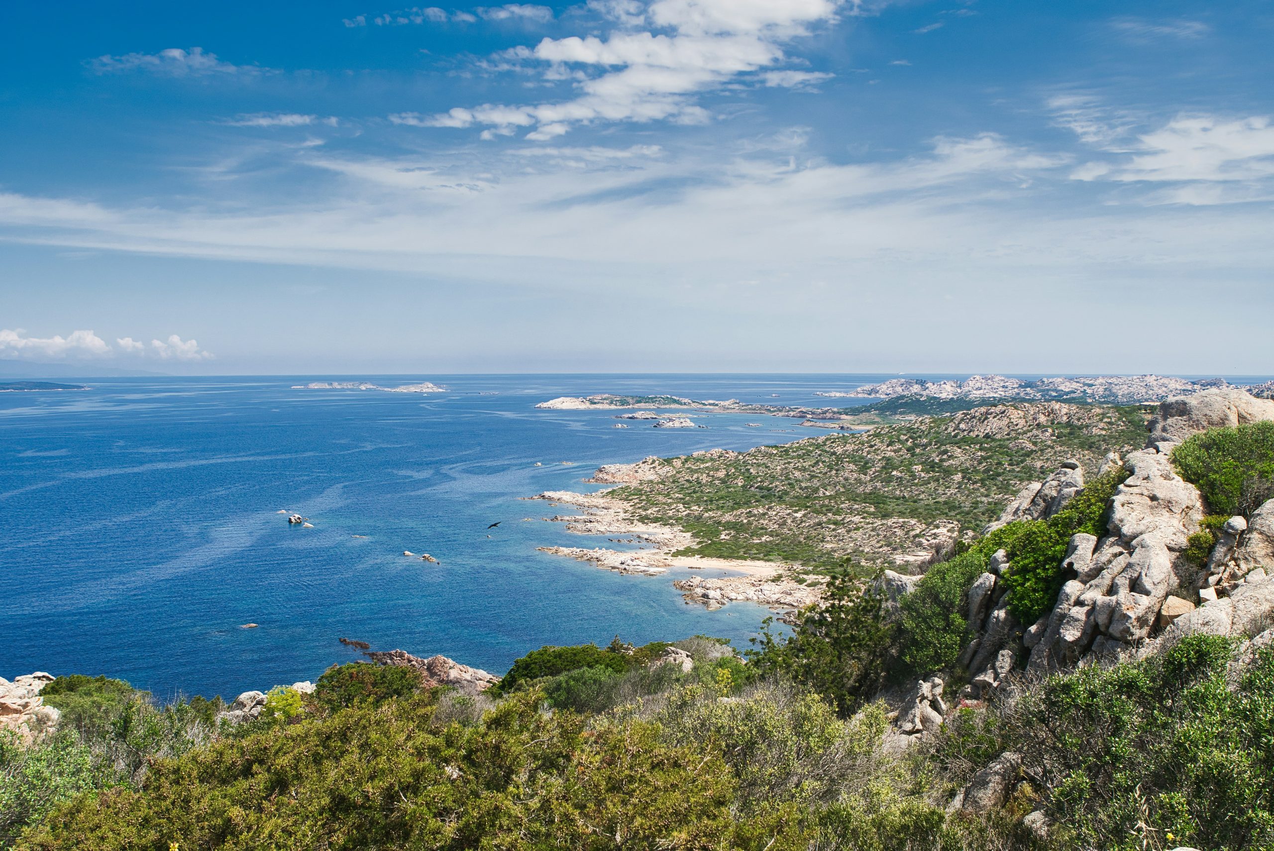 herbes-du-maquis- et paysage-corse