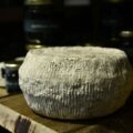 fromage-corse-sartinesu