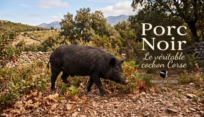 Porc noir